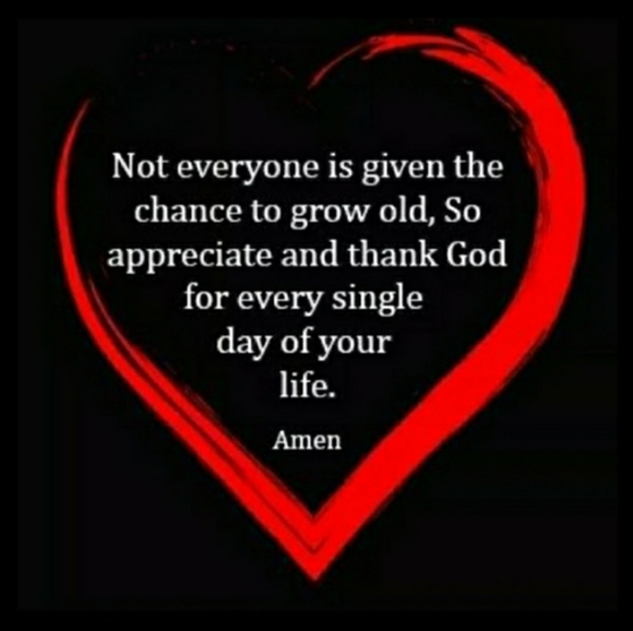 🚴‍♀️ Vintage BCBG MAXAZRIA Terry Loop Zip Top Satin striped Sleeves - Picture 13 of 16